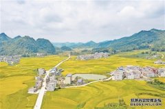 广西壮族自治区生态环境厅2026年4月2日办结情况